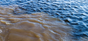 تصویر آب سالم و آلوده در اقیانوس - منبع: mcsuk.org